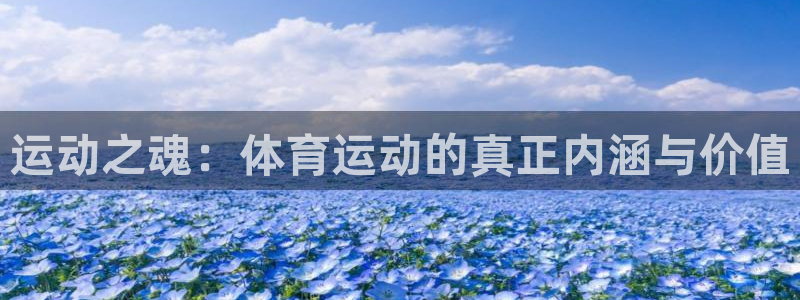 betway西汉姆联：运动之魂：体育运动的真正内涵与价值